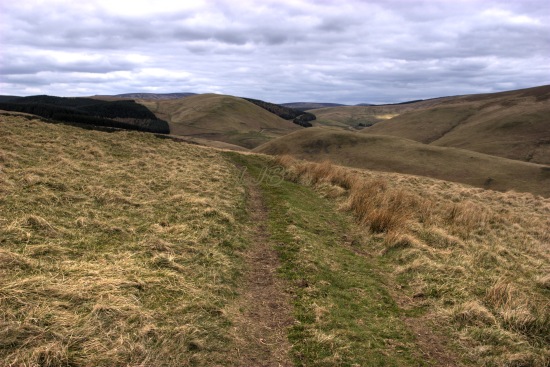Border County Ride, Cheviot Hills, Northumberland.