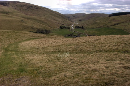 Upper Coquetdale, Cheviot Hills, Northumberland.