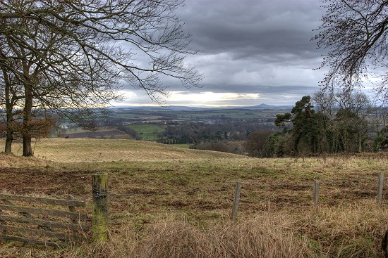 View near Wallace Statue