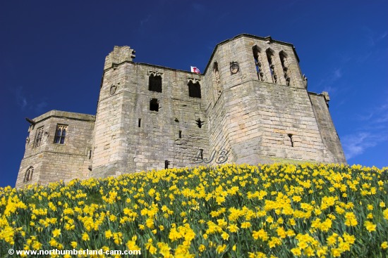 Warkworth Castle, Northumberland.