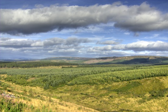 Wauchope Forest, Borders, Scotland