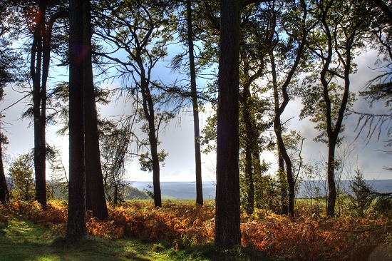 View from Low Moor near Whitby.