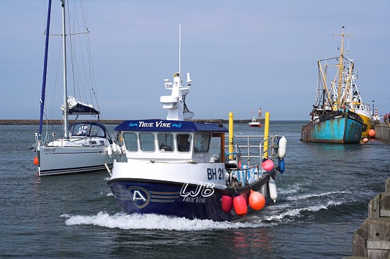 Amble, Northumberland.