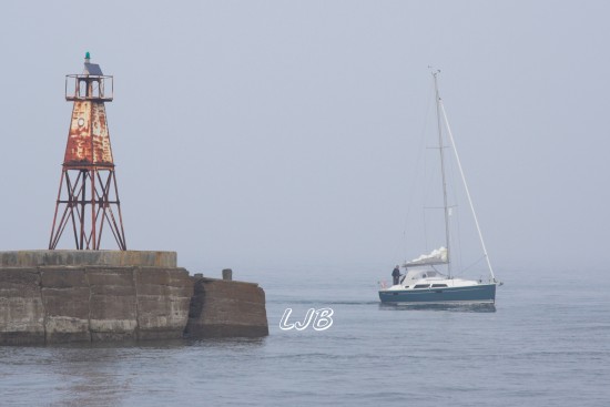 Misty at Amble