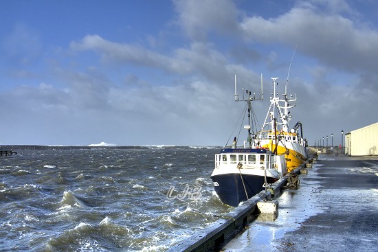 Amble, Northumberland.