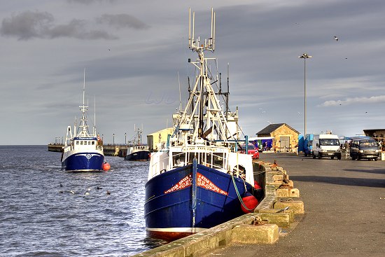 Fishing boats at Amble Harbour, Northumberland.