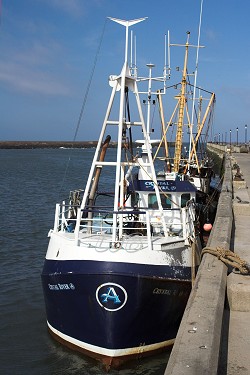 Amble, Northumberland Coast