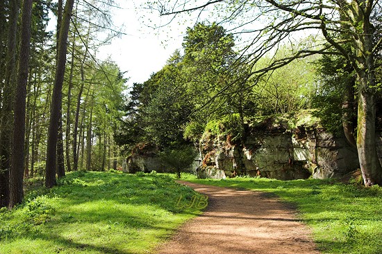 Quarry Garden, Belsay Hall, Northumberland.