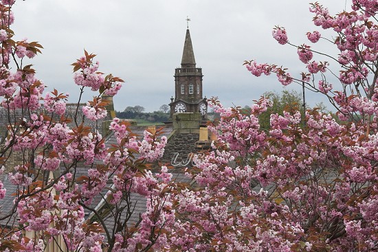 Berwick-upon-Tweed