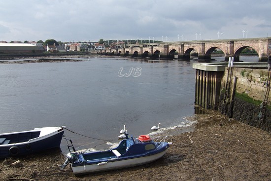 Berwick