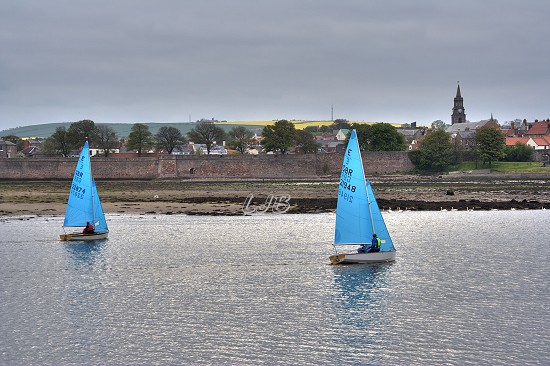 River Tweed, Berwick.