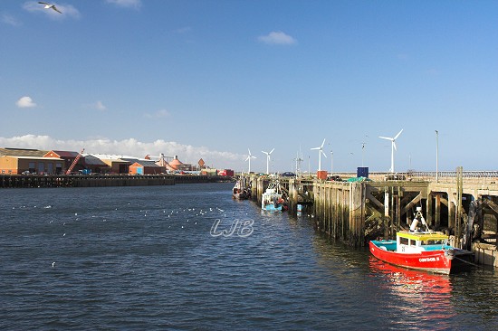 Blyth South Harbour.