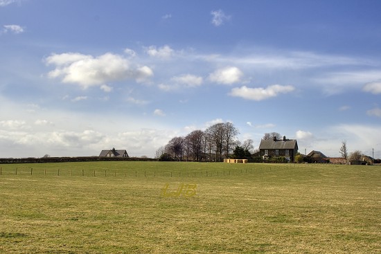 Coney Garth near Bothal, Northumberland.