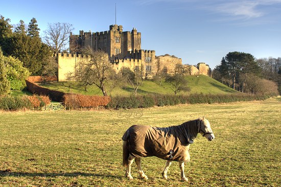 Bothal Castle, Northumberland.