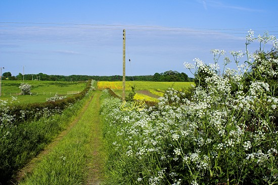 Bothal, Northumberland
