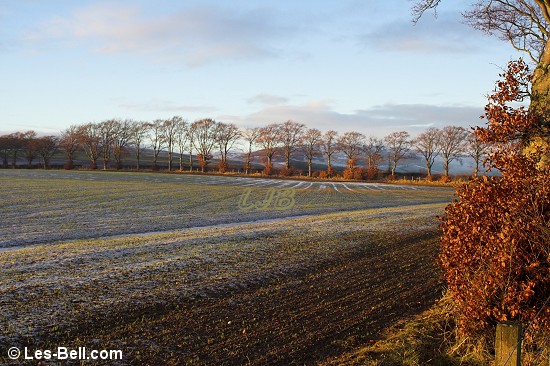 Cranshaws, Lammermuir Hills, Scotland.