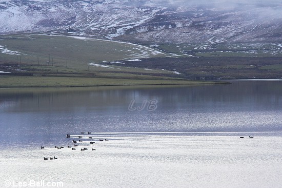 Whiteadder Reservoir, Lammermuir Hills, Scotland.