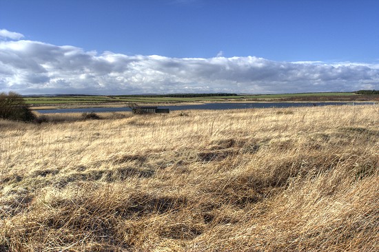 Druridge Bay Nature Reserve, Northumberland.
