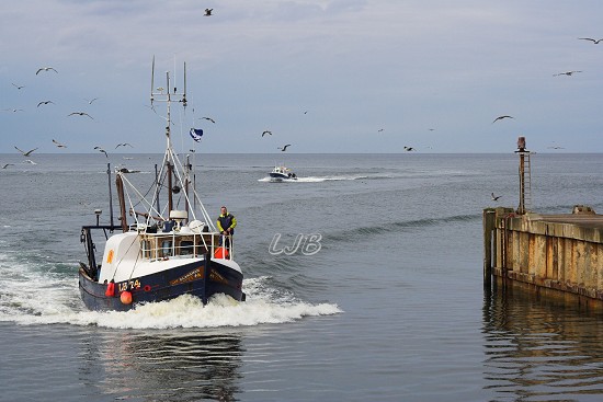 Eyemouth Harbour