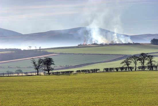 View to the Cheviots from Goatscrag Hill, North Northumberland.
