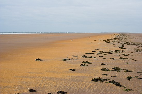 Goswick Sands