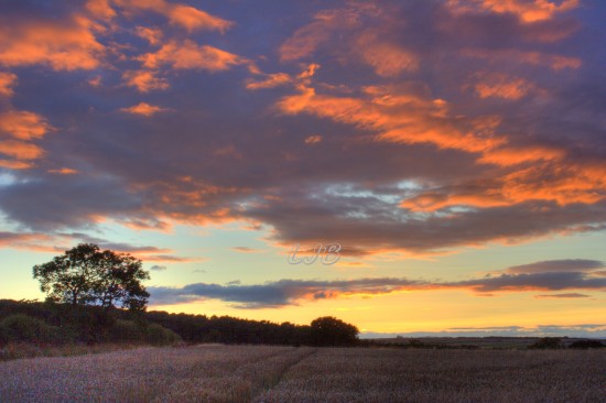 Hebron Sunset