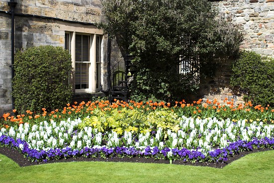 Flower beds outside Hexham House.