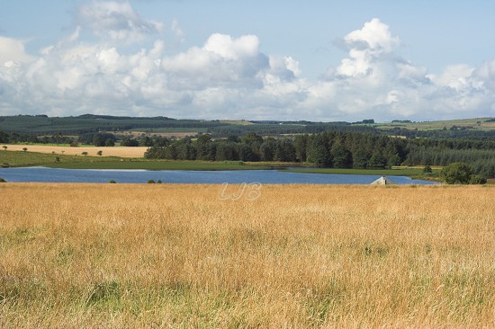 Rayburn Lake near Netherwitton.