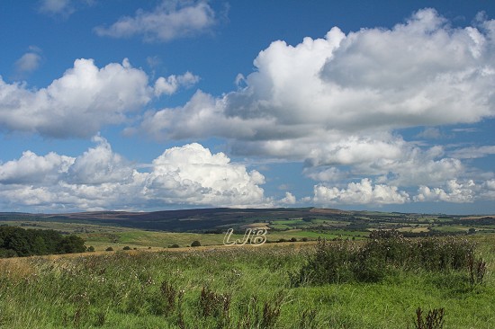 View near Netherwhitton.