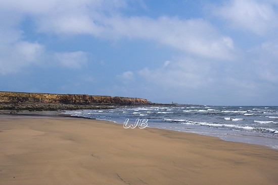Newbiggin Cliffs, Northumberland Coast