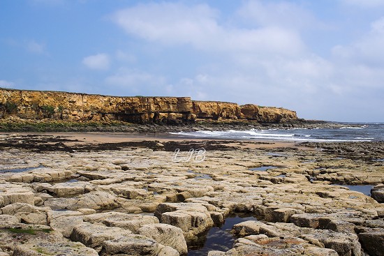 Newbiggin Cliffs, Northumberland Coast