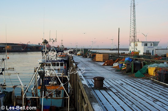 Frosty at Blyth South Harbour.
