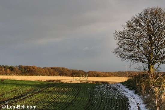 Bothal, Northumberland.