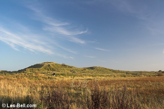Warkworth Dunes, Northumberland.