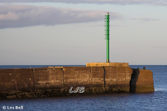 Amble North Breakwater, Northumberland.