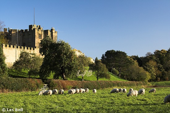 Bothal Castle, Northumberland.