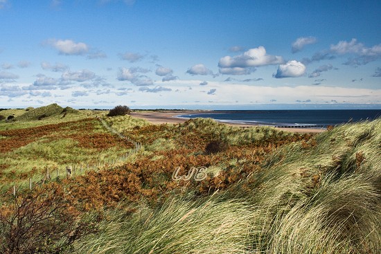 View from the sand dunes at Druridge Bay.
