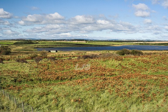 View from the sand dunes at Druridge Bay.