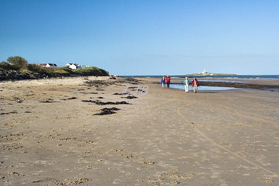 Hauxley Beach