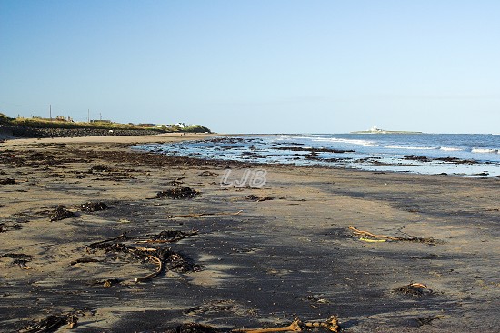Hauxley Beach