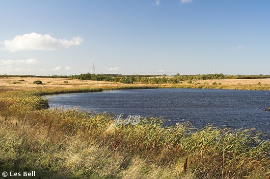 Linton Lane Nature Reserve, Northumberland.