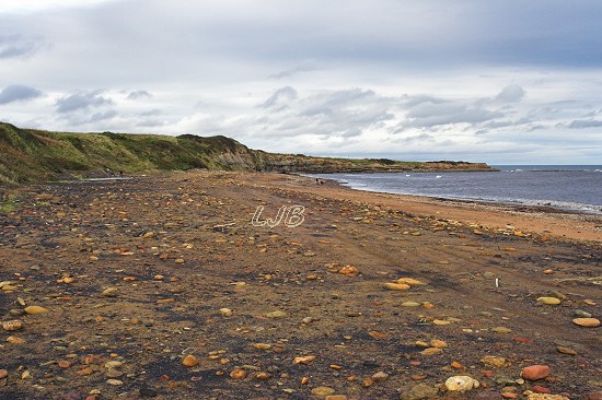 Lyne Sands, Northumberland Coast.