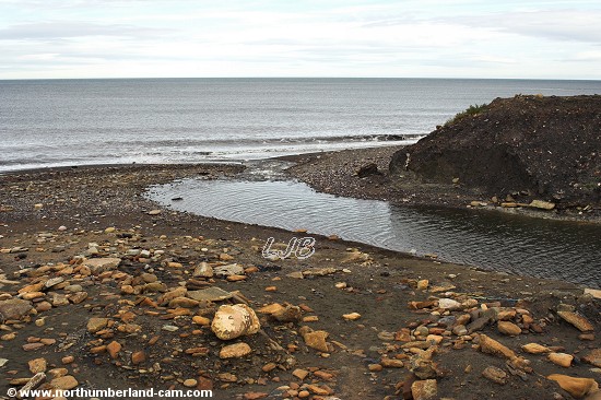 Lyne Sands, Northumberland Coast.