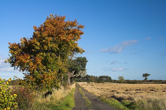Nunriding Moor, Northumberland.