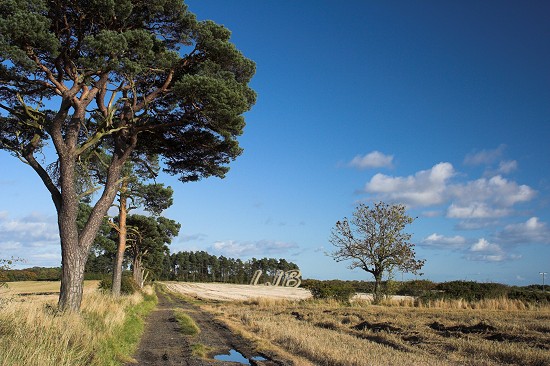 Nunriding Moor, Northumberland.