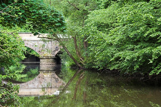 River Blyth at Hartford Bridge..