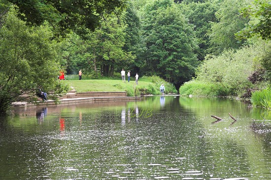 River Blyth at Plessey Woods Country Park.