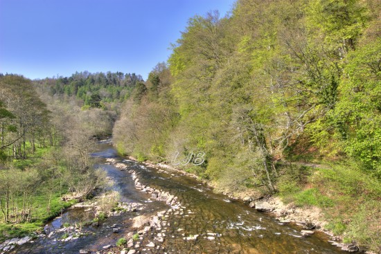River Allen, Cupola Bridge, Northumberland.