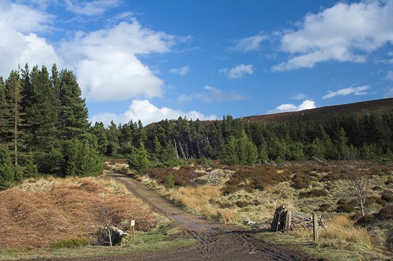 Track to Dove Crag, Simonside Hills, Northumberland.