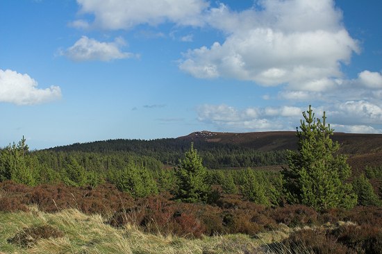 View to Dove Crag, Simonside Hills, Northumberland.